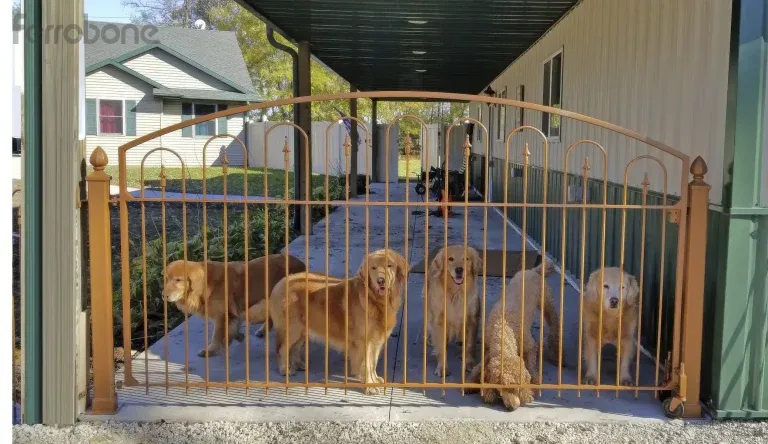 15. Porton Ornamental